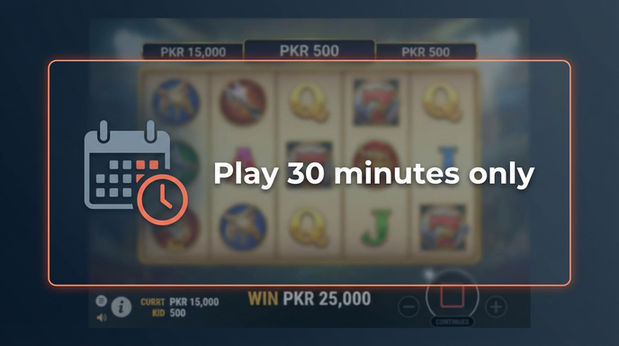 Payment and PKR controls in paidbet - 6